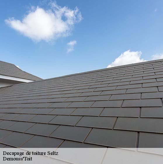 Decapage de toiture 67470