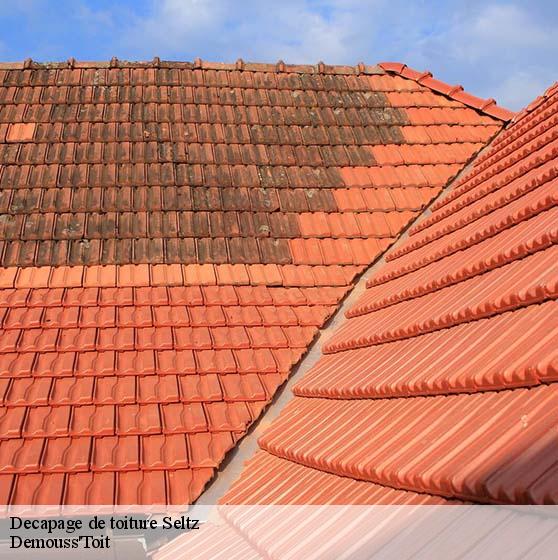 Decapage de toiture 67470