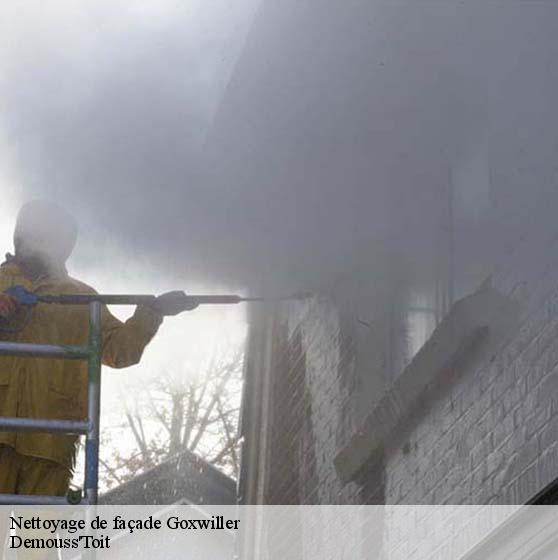 Nettoyage de façade 67210