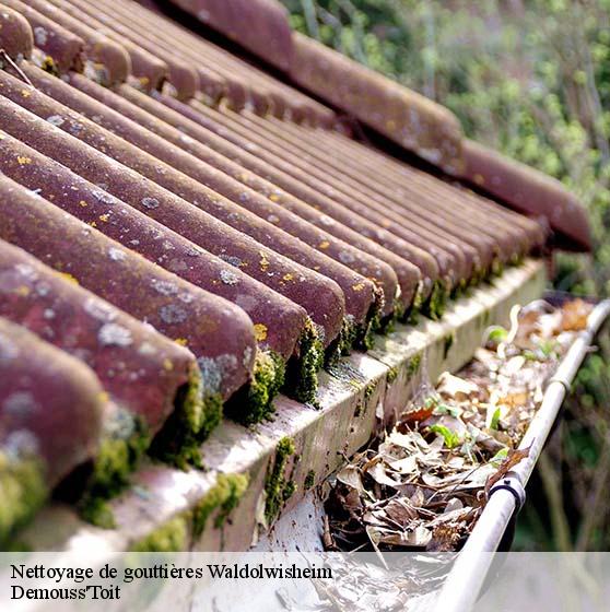 Nettoyage de gouttières 67700