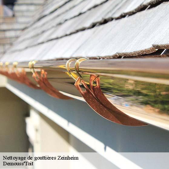 Nettoyage de gouttières 67310