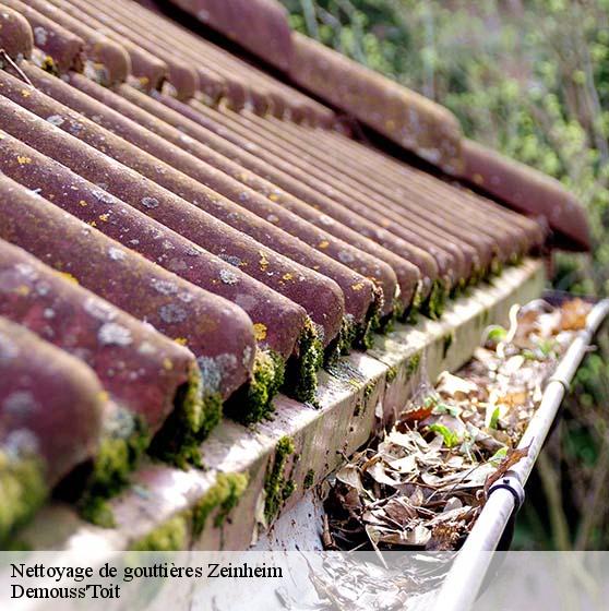 Nettoyage de gouttières 67310